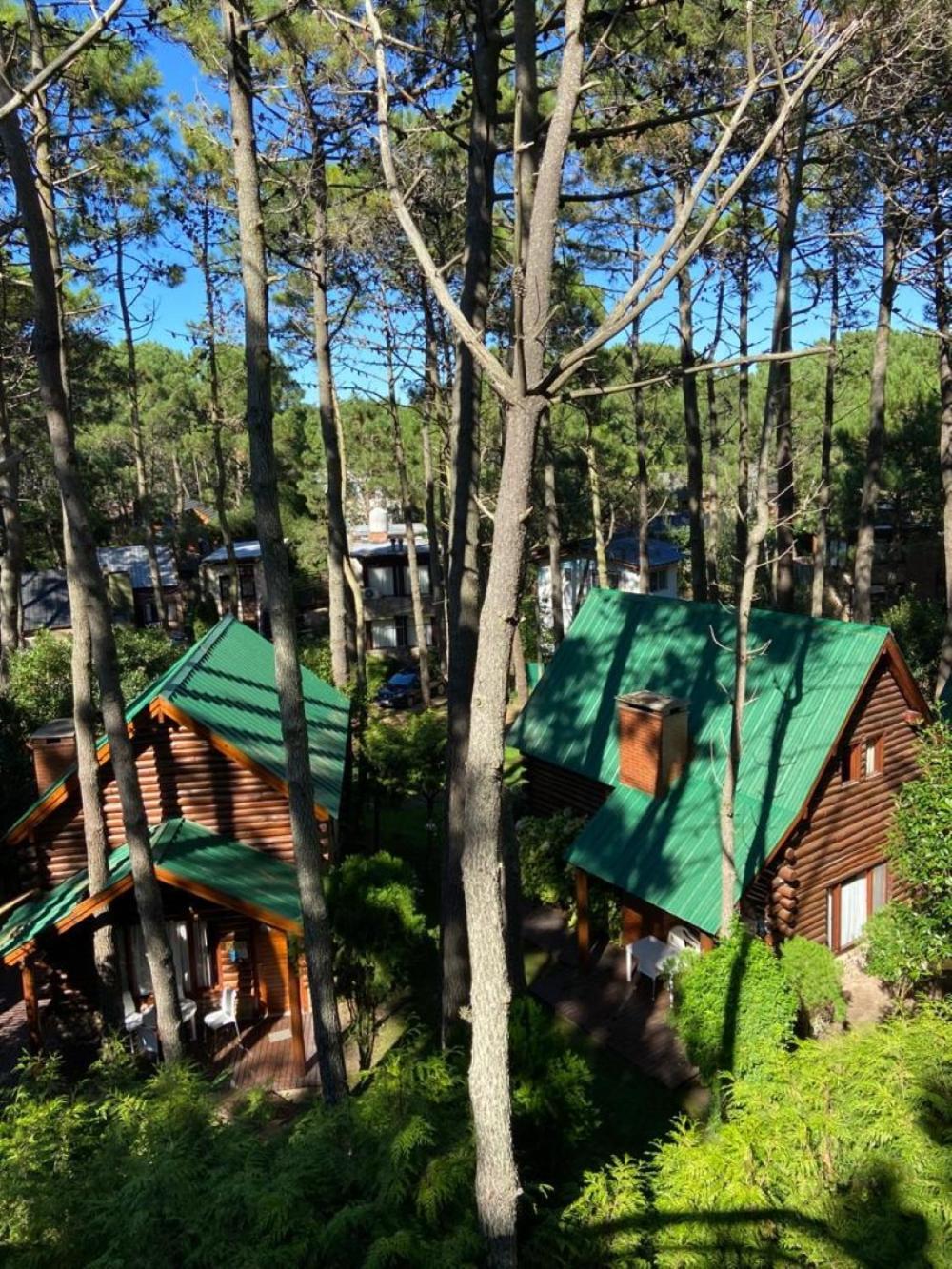 Y Utopia 3*